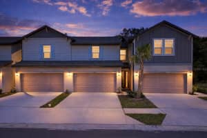 32502 LIMITLESS PLACE, WESLEY CHAPEL, FL 33545 - MLS#MFRTB8497800