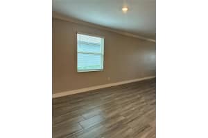 9766 CAMPANULA COURT, LAND O LAKES, FL 34637 - MLS#MFRTB8497804