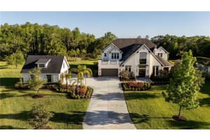 19101 MAGNOLIA FARMS LANE, ODESSA, FL 33556 - MLS#MFRTB8497809