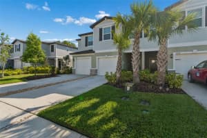 6076 SHINER STREET, LAND O LAKES, FL 34638 - MLS#MFRTB8497820