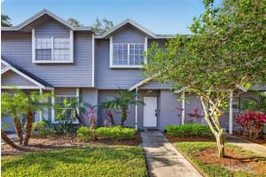 3428 Arbor Oaks Ct, TAMPA