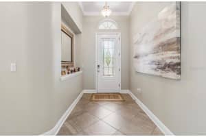 1927 MONTGOMERY BELL ROAD, WESLEY CHAPEL, FL 33543 - MLS#MFRTB8497827