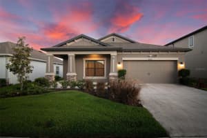 30950 PARROT REEF COURT, WESLEY CHAPEL, FL 33545 - MLS#MFRTB8497829