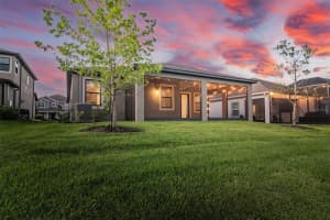 30950 PARROT REEF COURT, WESLEY CHAPEL, FL 33545 - MLS#MFRTB8497829