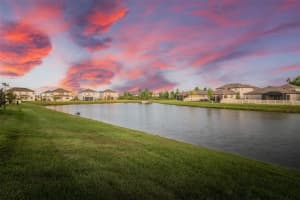 30950 PARROT REEF COURT, WESLEY CHAPEL, FL 33545 - MLS#MFRTB8497829