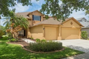 4211 HARBOR LAKE DRIVE, LUTZ, FL 33558 - MLS#MFRTB8497834