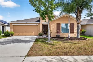 1774 BROAD WINGED HAWK DRIVE, RUSKIN, FL 33570 - MLS#MFRTB8497835