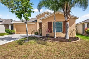 1774 BROAD WINGED HAWK DRIVE, RUSKIN, FL 33570 - MLS#MFRTB8497835