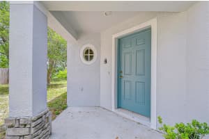 18003 BIRDWATER DRIVE, TAMPA, FL 33647 - MLS#MFRTB8497839