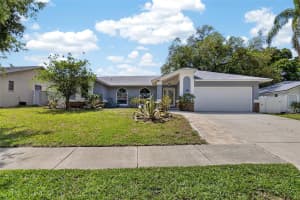 1668 ALLENS RIDGE DRIVE, PALM HARBOR, FL 34683 - MLS#MFRTB8497852