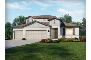 10838 Budding Blossom Ct, PARRISH