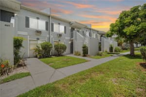 4130 Dolphin Dr #203, TAMPA