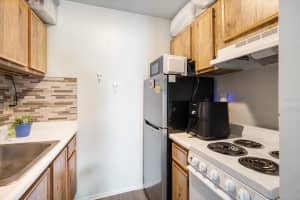 4130 DOLPHIN DRIVE, TAMPA, FL 33617 - MLS#MFRTB8497917