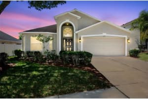 2617 BUCKHORN PRESERVE BOULEVARD, VALRICO, FL 33596 - MLS#MFRTB8497934