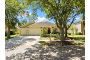 8715 Hidden Green Ln, TAMPA