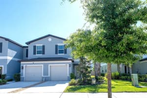 2160 Cerulean Sky Dr, LUTZ