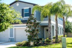 2160 CERULEAN SKY DRIVE, LUTZ, FL 33558 - MLS#MFRTB8497959