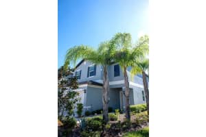 2160 CERULEAN SKY DRIVE, LUTZ, FL 33558 - MLS#MFRTB8497959