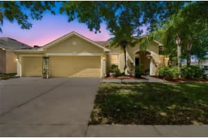 10901 WILDCAT DRIVE, RIVERVIEW, FL 33579 - MLS#MFRTB8497976