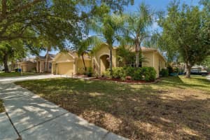 10901 WILDCAT DRIVE, RIVERVIEW, FL 33579 - MLS#MFRTB8497976