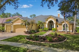 21227 SKY VISTA DRIVE, LAND O LAKES, FL 34637 - MLS#MFRTB8497984