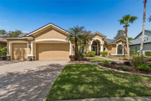 21227 SKY VISTA DRIVE, LAND O LAKES, FL 34637 - MLS#MFRTB8497984