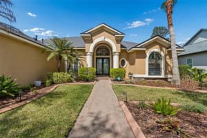 21227 SKY VISTA DRIVE, LAND O LAKES, FL 34637 - MLS#MFRTB8497984