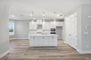 1572 TRAILHEAD LANE, ZEPHYRHILLS, FL 33541 - MLS#MFRTB8497985