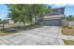 5420 Angelonia Ter, LAND O LAKES