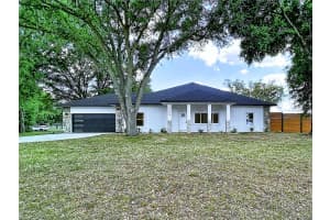 32502 GREENWOOD LOOP, WESLEY CHAPEL, FL 33545 - MLS#MFRTB8498000