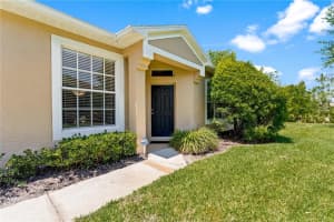 19182 Lake Audubon Dr, TAMPA