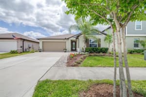 8969 LITTLE BLUESTEM DRIVE, LAND O LAKES, FL 34637 - MLS#MFRTB8498026