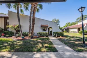 3505 TARPON WOODS BOULEVARD, PALM HARBOR, FL 34685 - MLS#MFRTB8498033