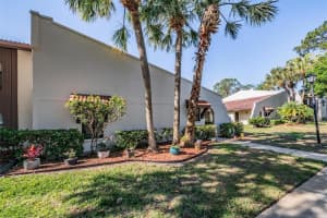 3505 TARPON WOODS BOULEVARD, PALM HARBOR, FL 34685 - MLS#MFRTB8498033