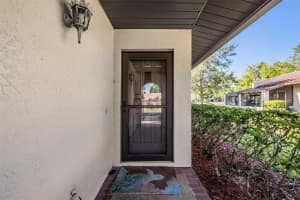 3505 TARPON WOODS BOULEVARD, PALM HARBOR, FL 34685 - MLS#MFRTB8498033