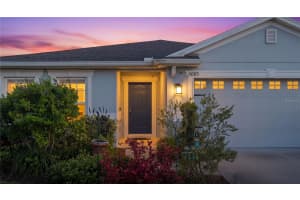 11005 DAYBREAK GLEN, PARRISH, FL 34219 - MLS#MFRTB8498040