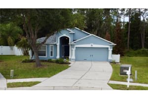 6323 OPEN PASTURE COURT, WESLEY CHAPEL, FL 33545 Sold 04/27/26