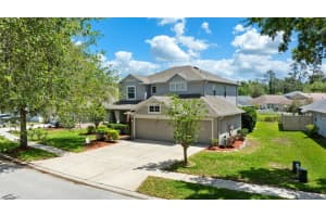 7104 Moss Ledge Run, LAND O LAKES