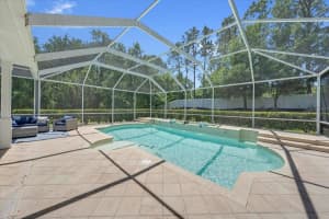 5913 FLATWOODS MANOR CIRCLE, LITHIA, FL 33547 - MLS#MFRTB8498141