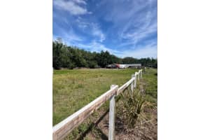 15617 CASEY ROAD, TAMPA, FL 33624 - MLS#MFRTB8498147