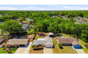 26916 MAGNOLIA BOULEVARD, LUTZ, FL 33559 - MLS#MFRTB8498153