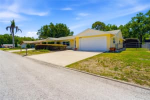 26916 MAGNOLIA BOULEVARD, LUTZ, FL 33559 - MLS#MFRTB8498153