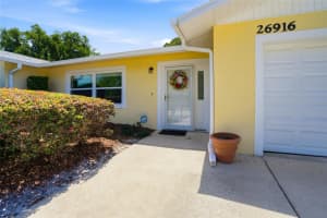 26916 MAGNOLIA BOULEVARD, LUTZ, FL 33559 - MLS#MFRTB8498153