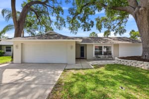 221 ARBOR DRIVE, PALM HARBOR, FL 34683 - MLS#MFRTB8498176
