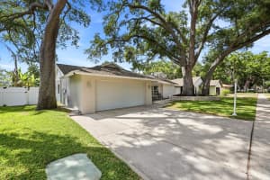 221 ARBOR DRIVE, PALM HARBOR, FL 34683 - MLS#MFRTB8498176