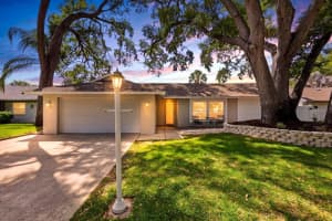 221 ARBOR DRIVE, PALM HARBOR, FL 34683 - MLS#MFRTB8498176