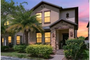 28622 TRANQUIL LAKE CIRCLE, WESLEY CHAPEL, FL 33543 - MLS#MFRTB8498184