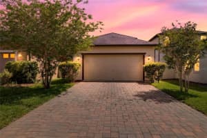 28622 TRANQUIL LAKE CIRCLE, WESLEY CHAPEL, FL 33543 - MLS#MFRTB8498184
