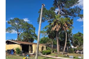 5641 BERLIN DRIVE, PORT RICHEY, FL 34668 - MLS#MFRTB8498194