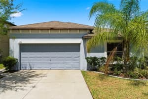 12611 LEMON PEPPER DRIVE, RIVERVIEW, FL 33578 - MLS#MFRTB8498200